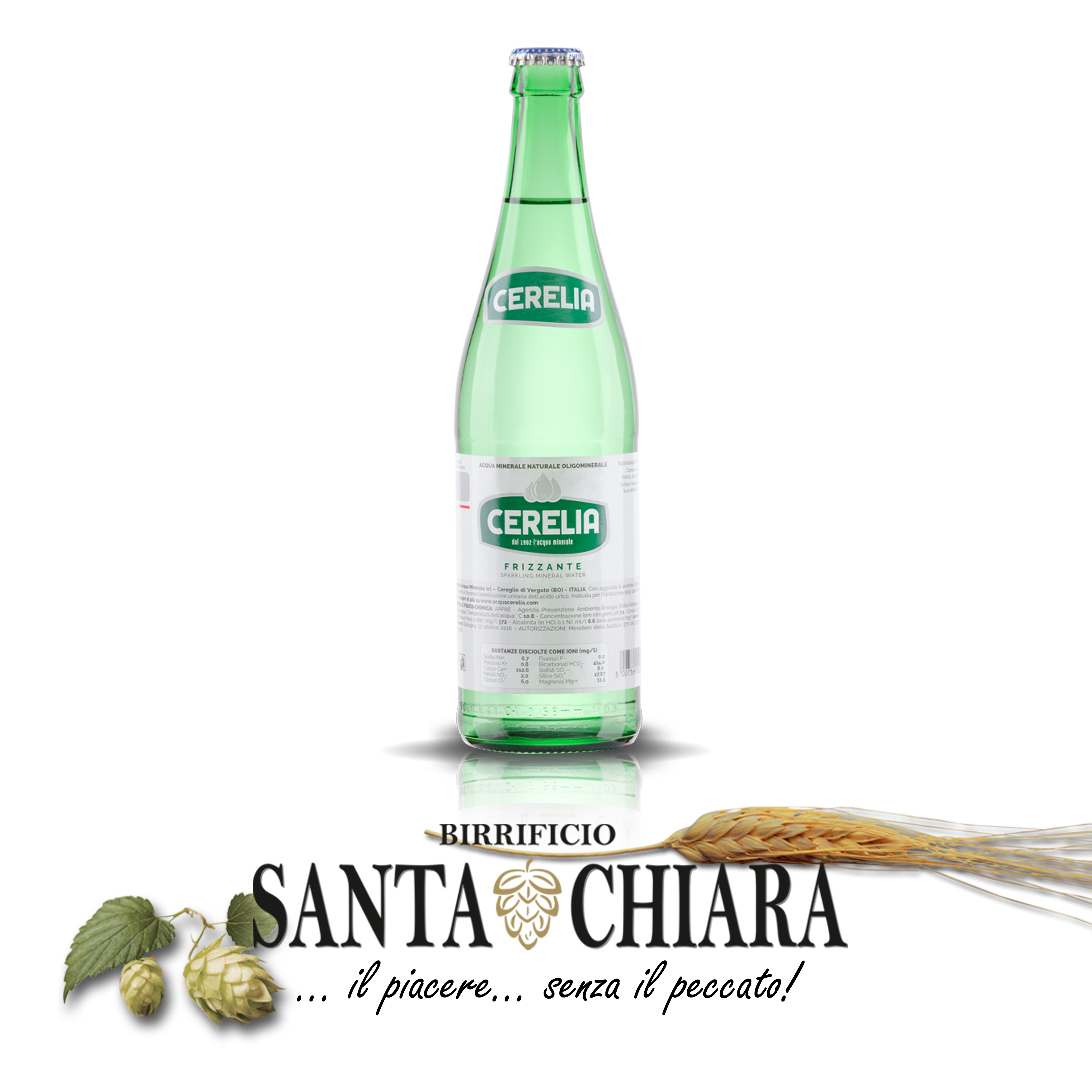 Acqua Gassata